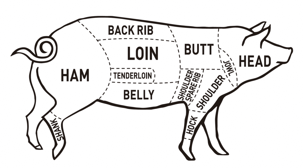 豚肉をよりおいしく楽しむために 豚肉の部位を学ぼう ハイライフポーク